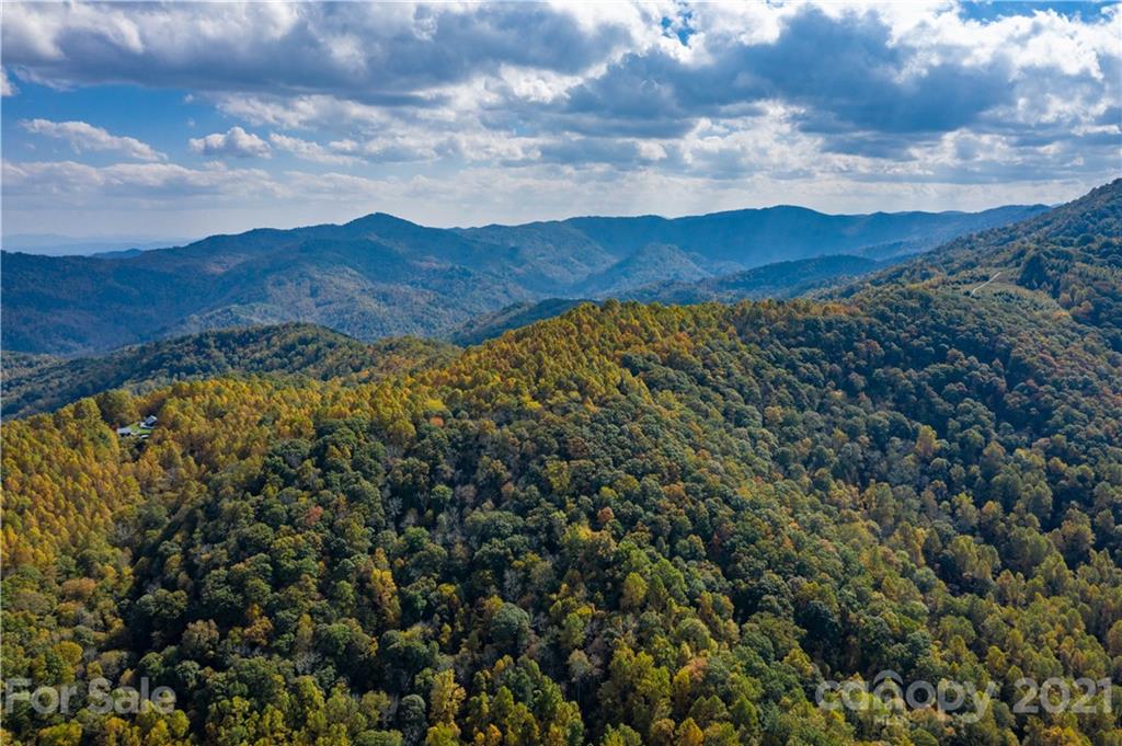 Tbd Anderson Cove Road Marshall, NC 28753 - Photo 18 of 34 Gallery Image 18