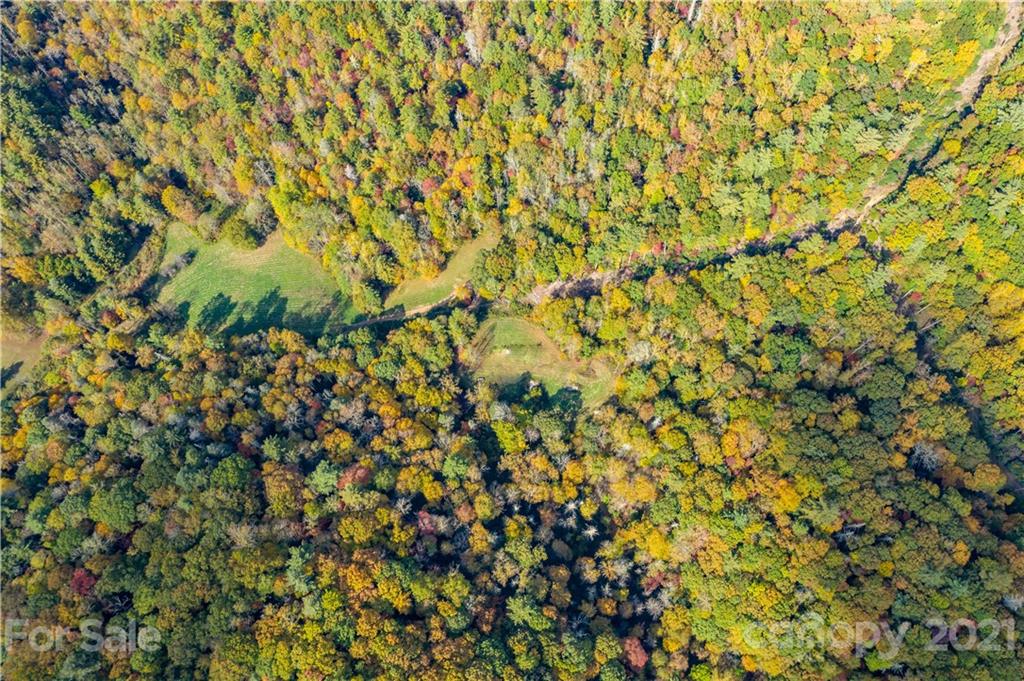 Tbd Anderson Cove Road Marshall, NC 28753 - Photo 20 of 34 Gallery Image 20