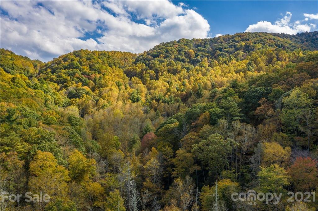 Tbd Anderson Cove Road Marshall, NC 28753 - Photo 23 of 34 Gallery Image 23