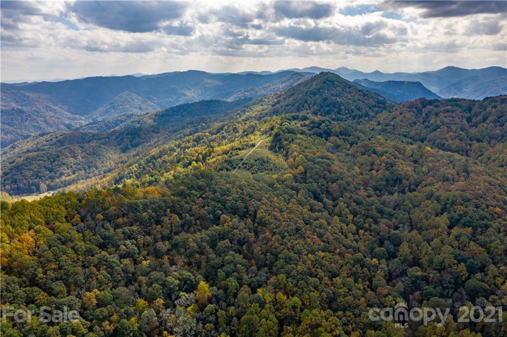 Tbd Anderson Cove Road Marshall, NC 28753 - Photo 25 of 34 Gallery Image 25