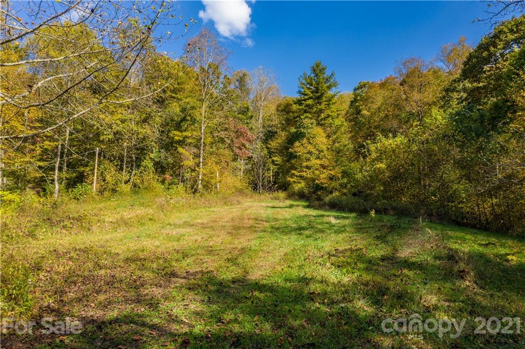 Tbd Anderson Cove Road Marshall, NC 28753 - Photo 28 of 34 Gallery Image 28