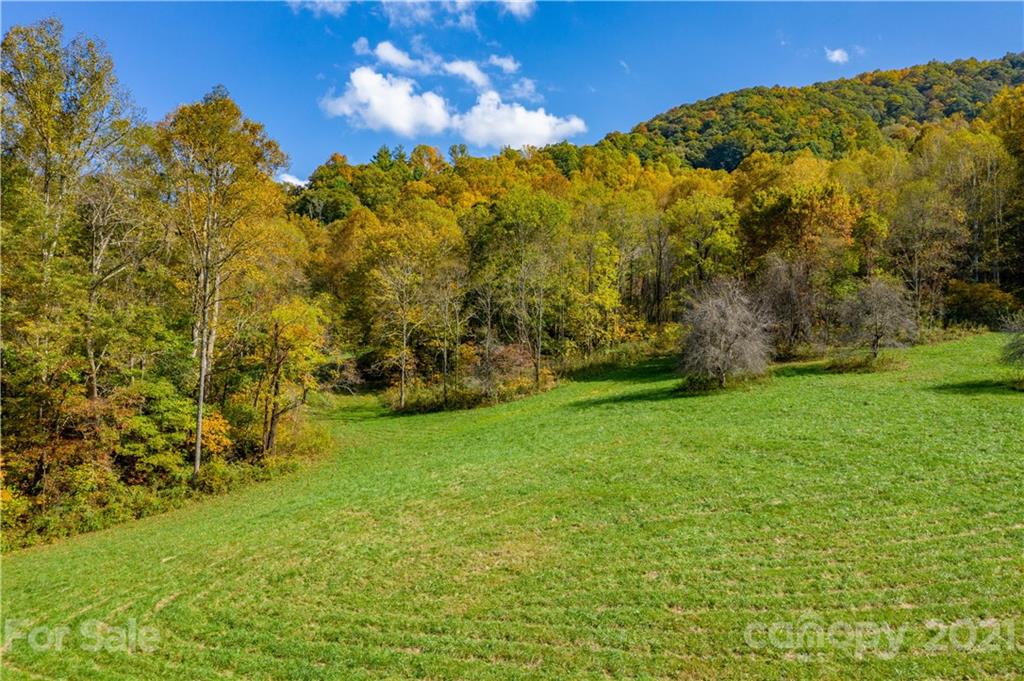Tbd Anderson Cove Road Marshall, NC 28753 - Photo 29 of 34 Gallery Image 29
