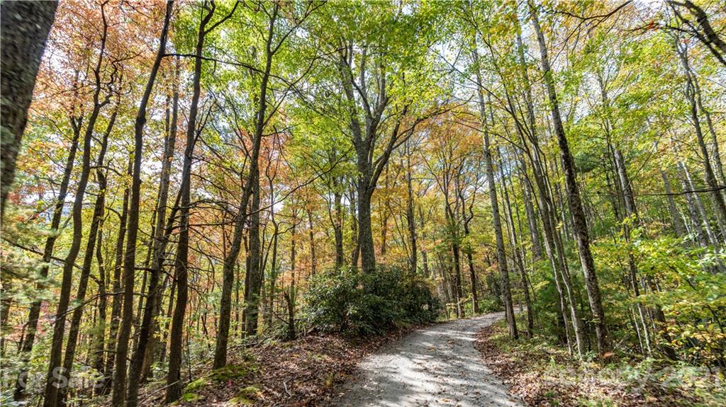Tbd Anderson Cove Road Marshall, NC 28753 - Photo 31 of 34 Gallery Image 31