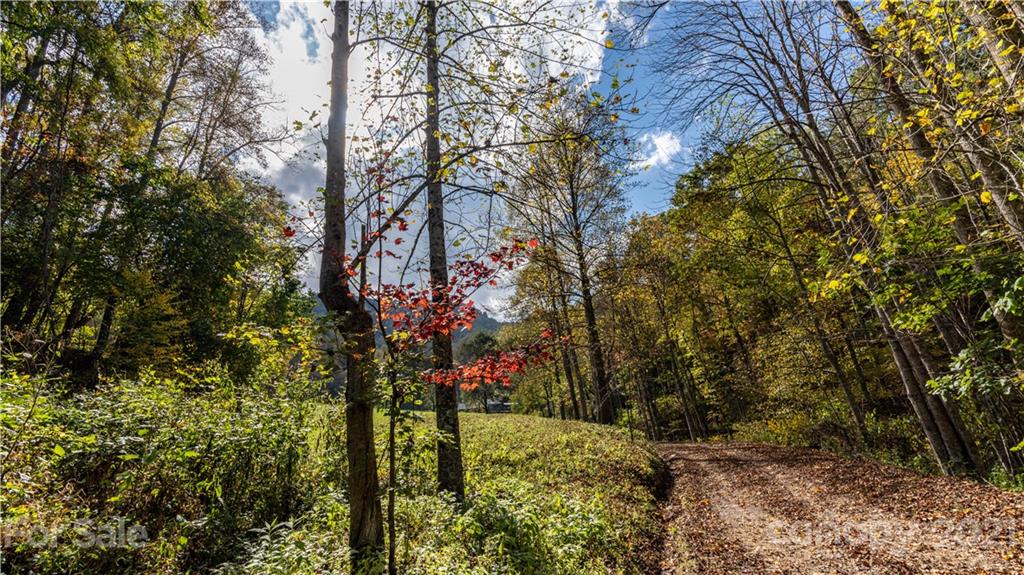 Tbd Anderson Cove Road Marshall, NC 28753 - Photo 34 of 34 Gallery Image 34