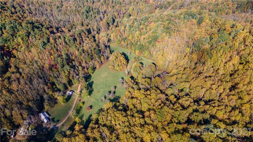 Tbd Anderson Cove Road Marshall, NC 28753 - Photo 7 of 34 Gallery Image 7