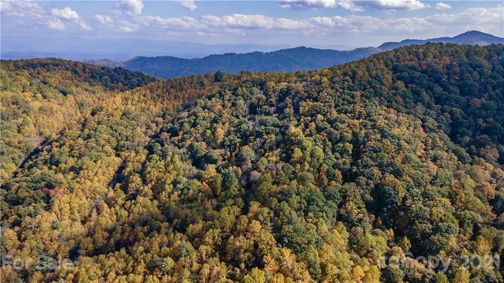 Tbd Anderson Cove Road Marshall, NC 28753 - Photo 8 of 34 Gallery Image 8