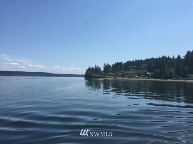 13707 Agate Beach Road, Unit AI Anderson Island, WA 98303 - Photo 14 of 15 Gallery Image 14