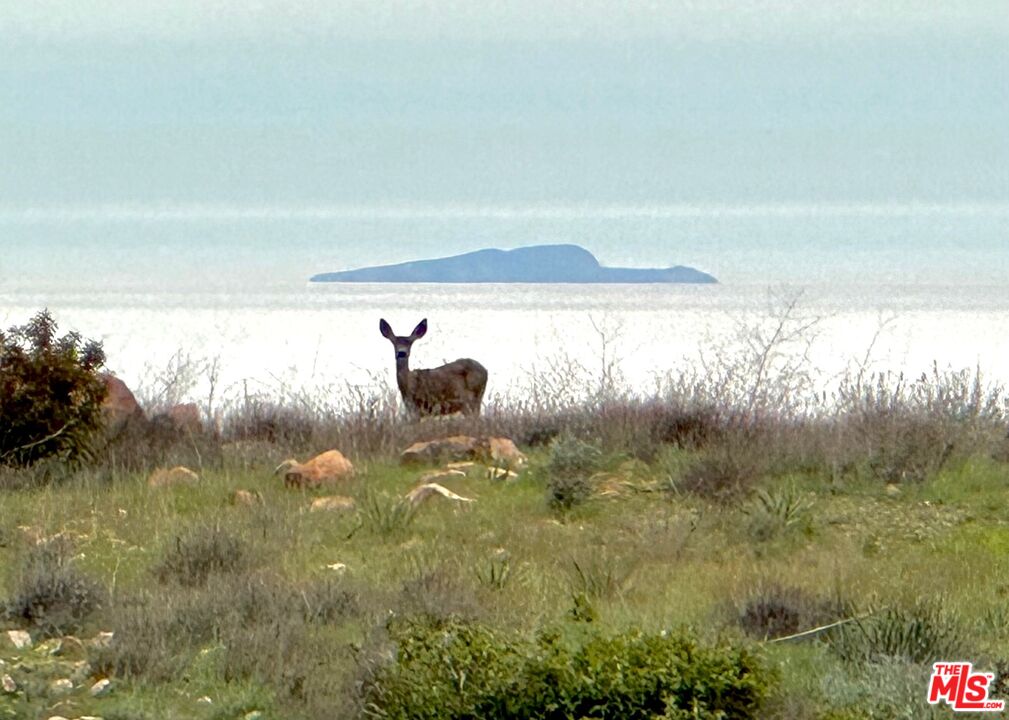 9785 Deer Creek Road Malibu, CA 90265 - Photo 66 of 75 a view of a lake