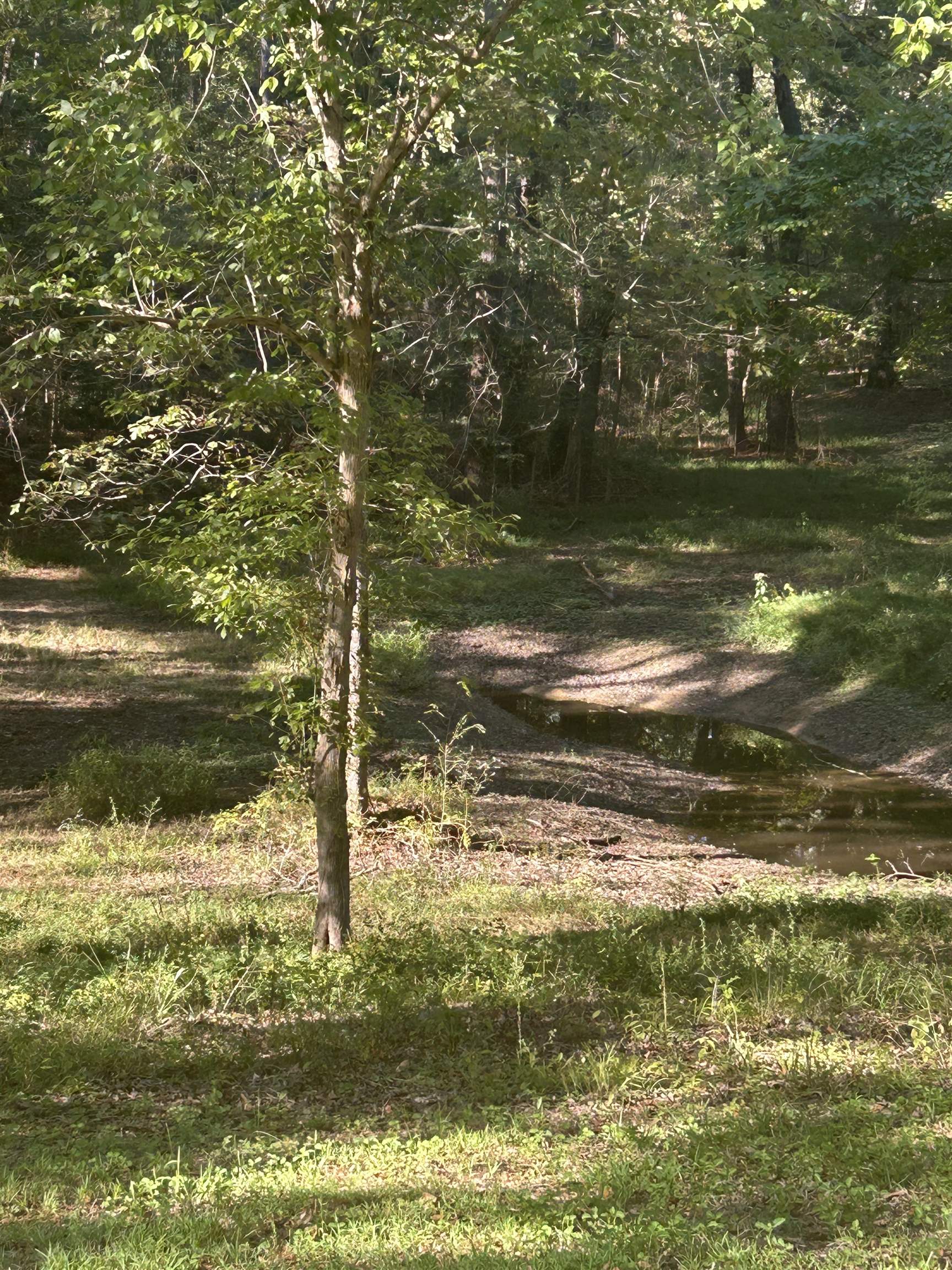 3630 Raleigh Lagrange Drive Collierville, TN 38017 - Photo 11 of 13