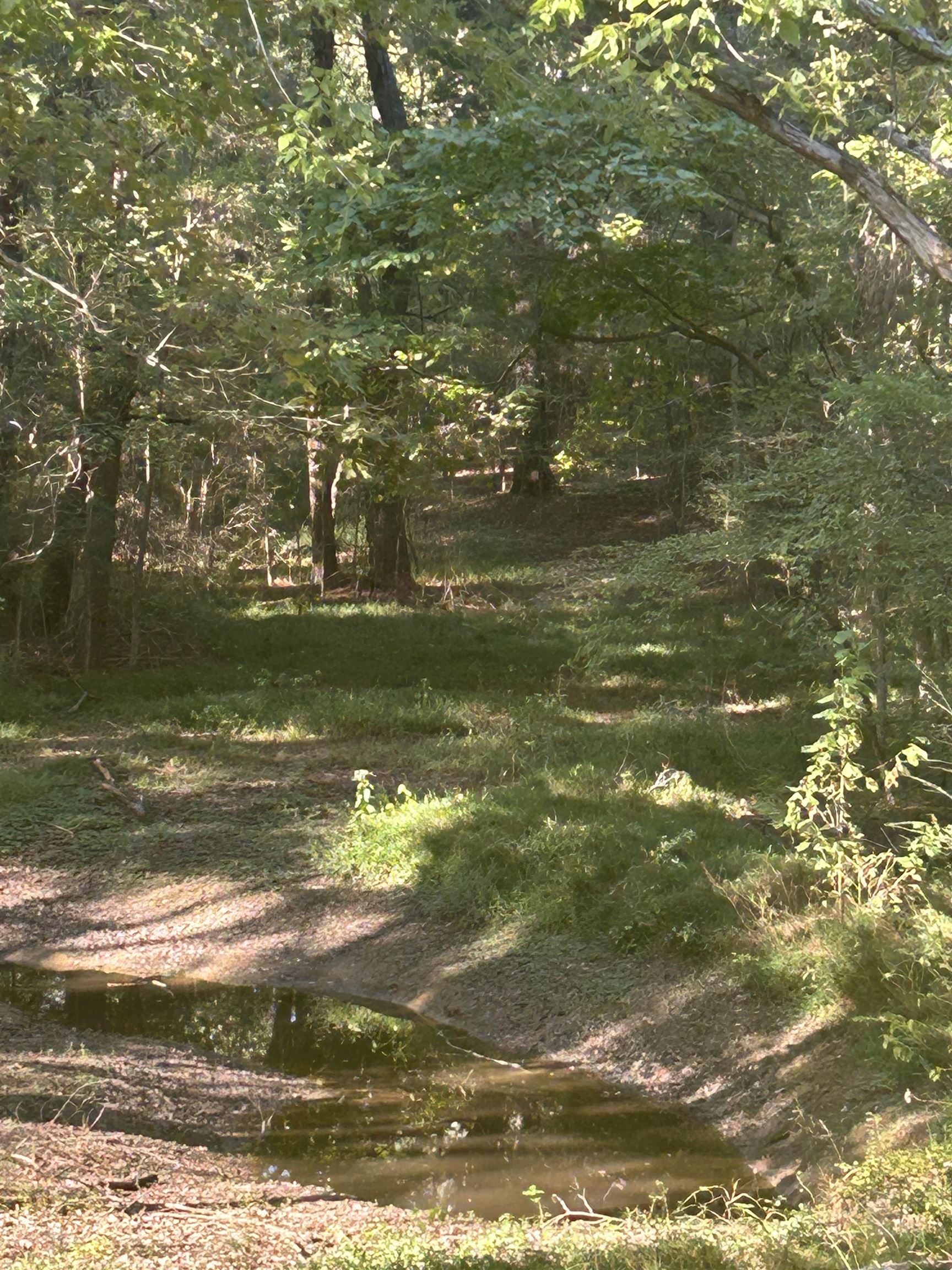 3630 Raleigh Lagrange Drive Collierville, TN 38017 - Photo 12 of 13