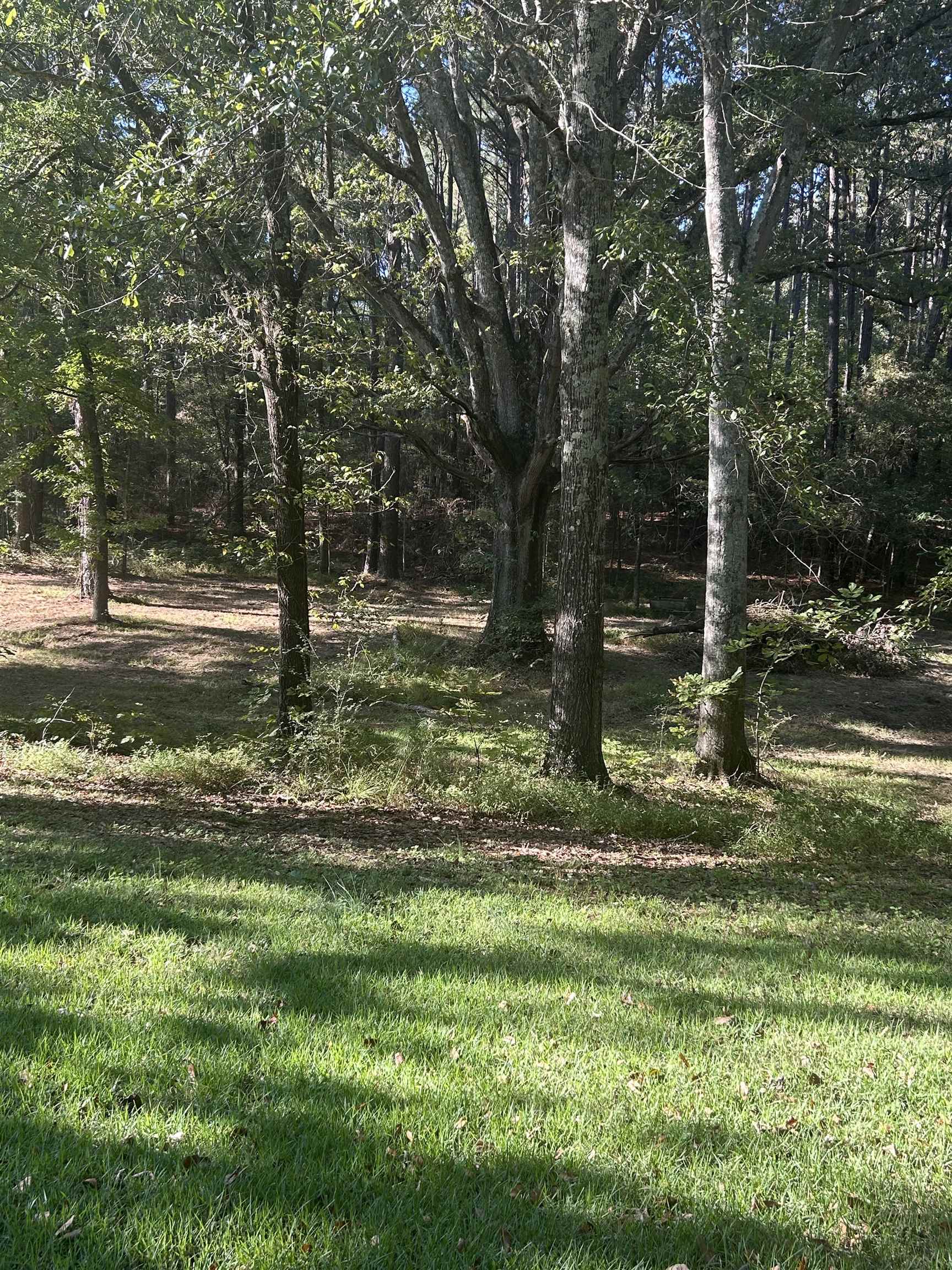 3630 Raleigh Lagrange Drive Collierville, TN 38017 - Photo 13 of 13