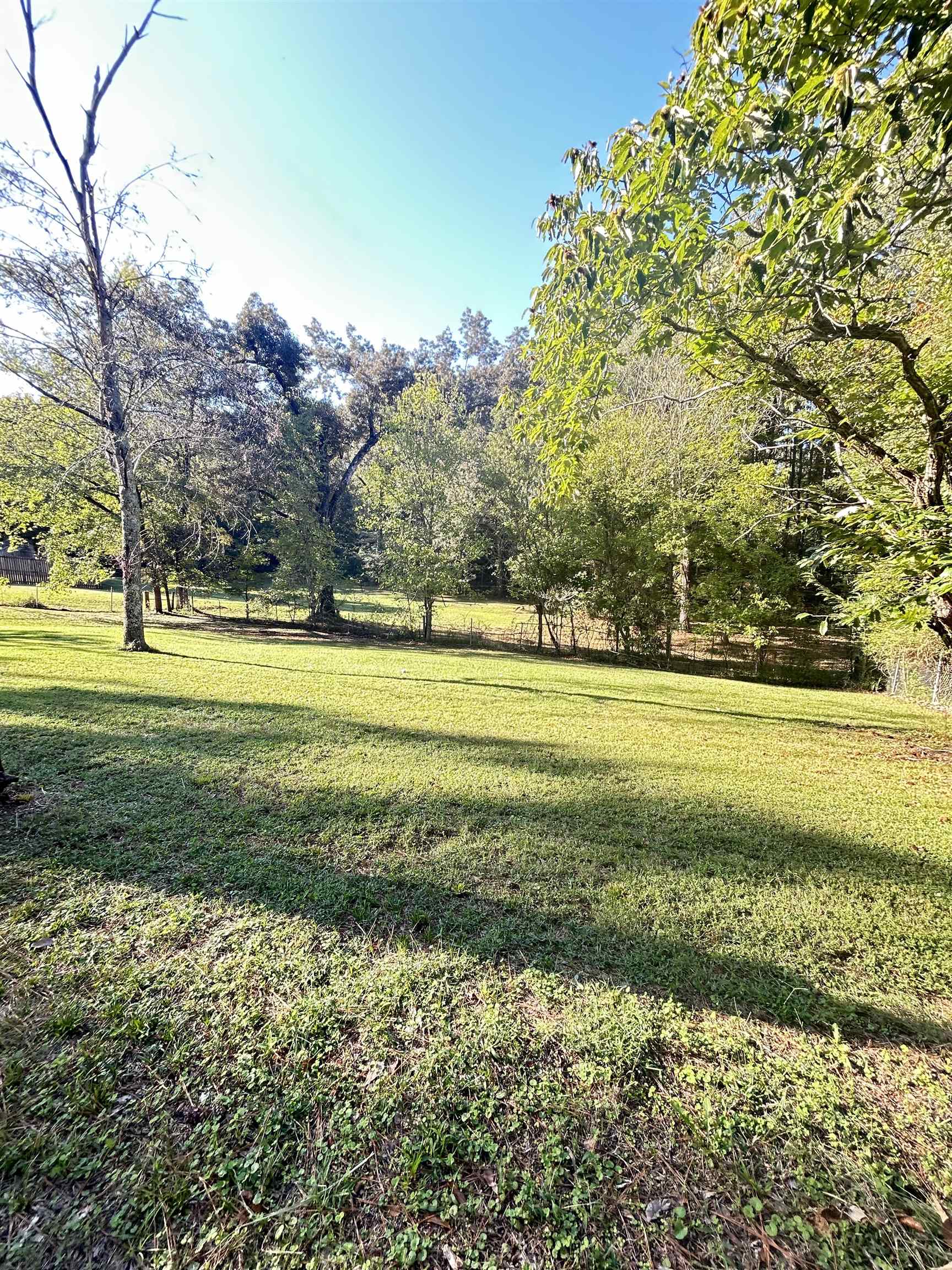 3630 Raleigh Lagrange Drive Collierville, TN 38017 - Photo 2 of 13