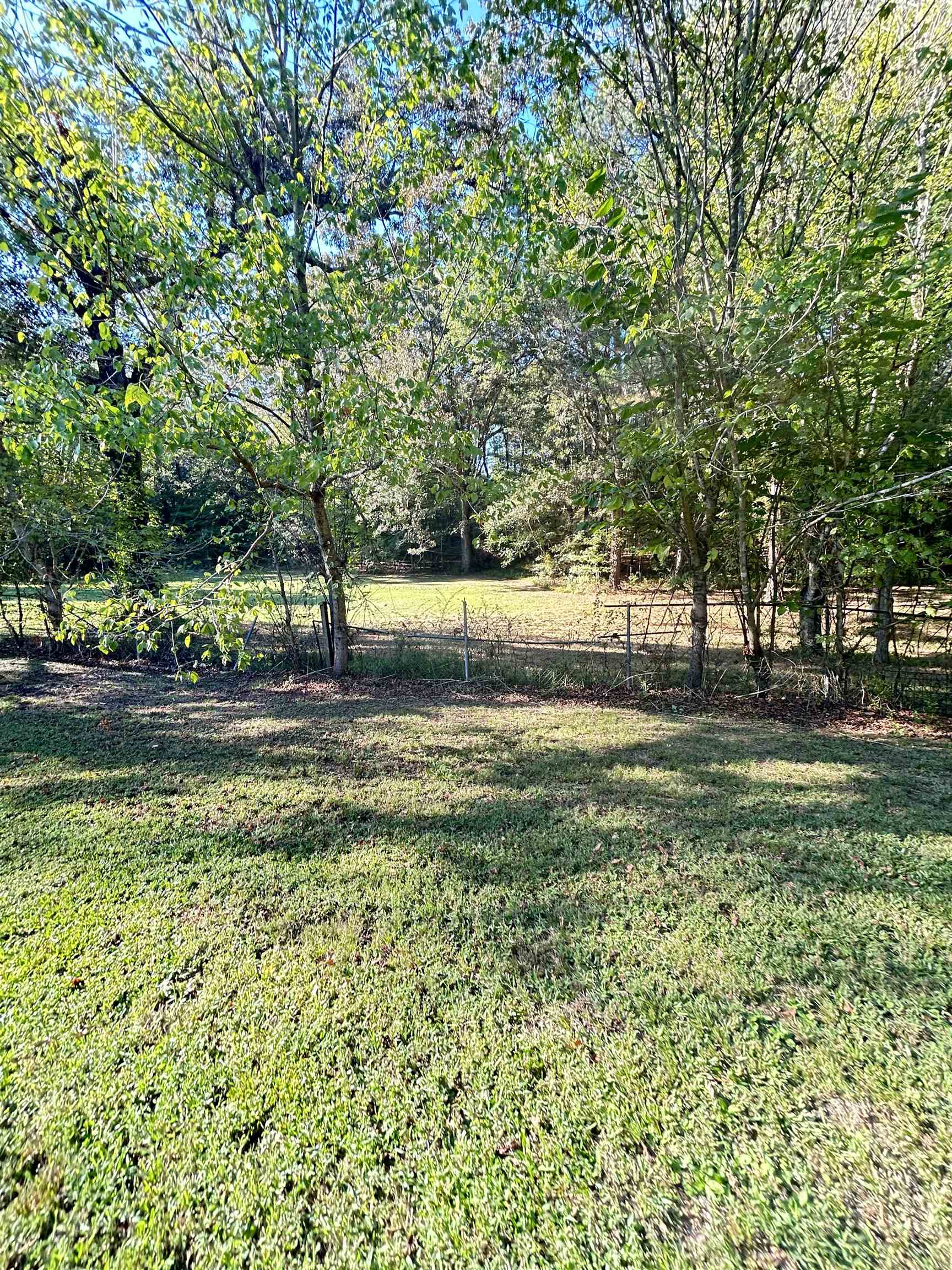 3630 Raleigh Lagrange Drive Collierville, TN 38017 - Photo 3 of 13