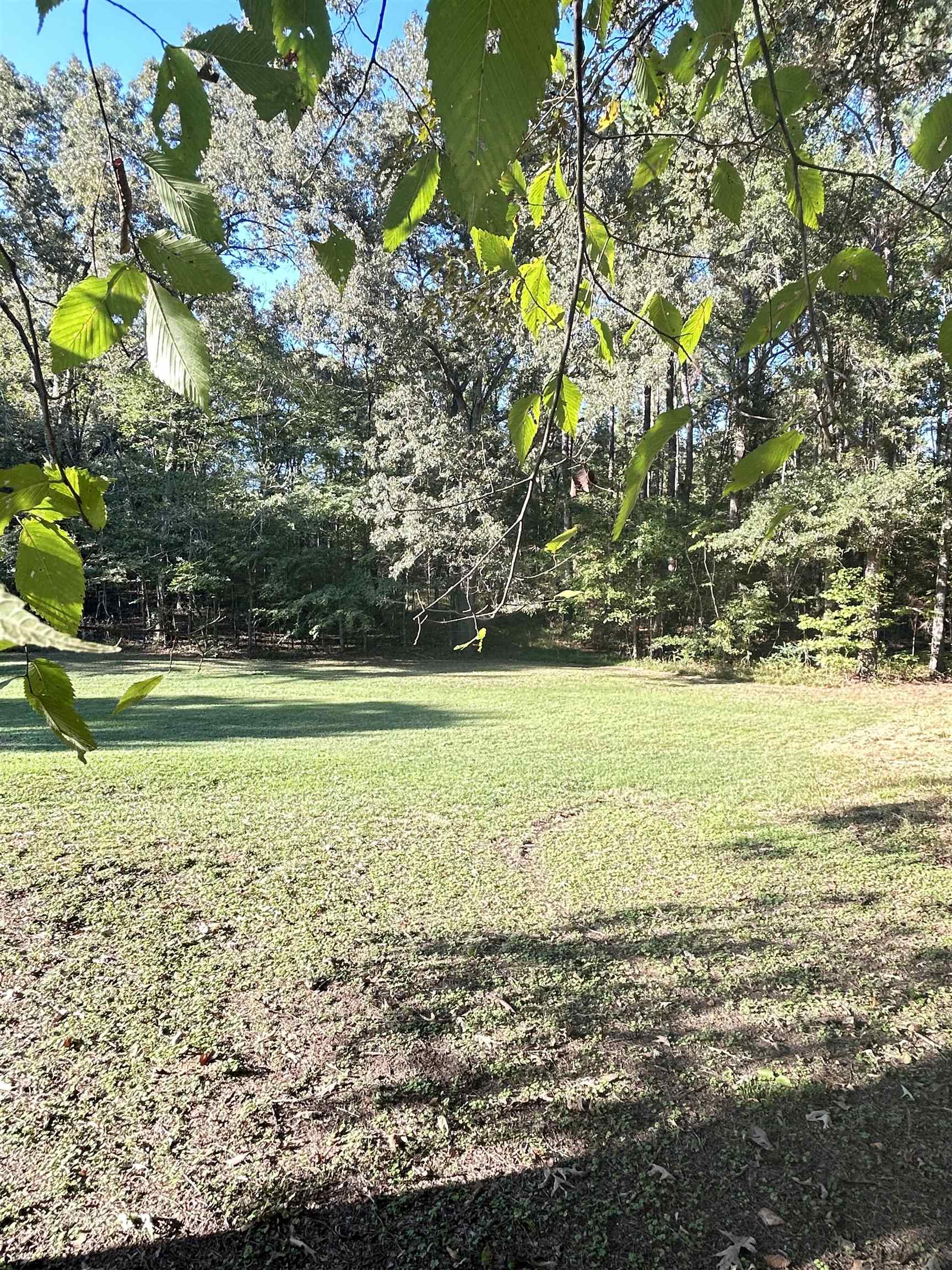 3630 Raleigh Lagrange Drive Collierville, TN 38017 - Photo 6 of 13