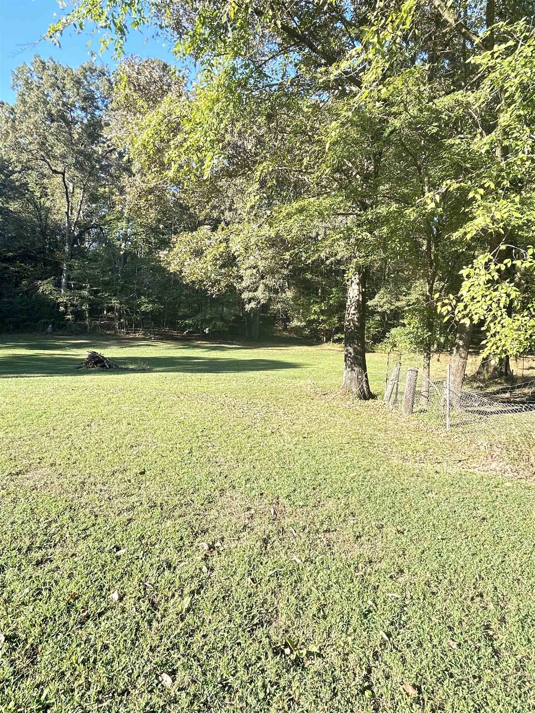 3630 Raleigh Lagrange Drive Collierville, TN 38017 - Photo 7 of 13