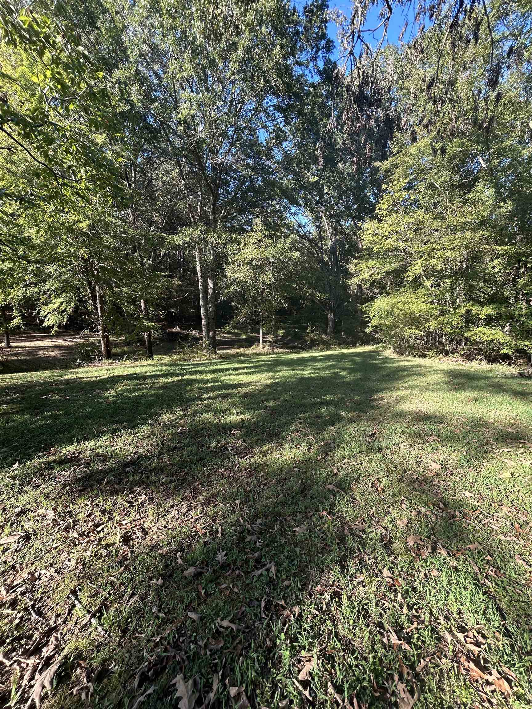 3630 Raleigh Lagrange Drive Collierville, TN 38017 - Photo 9 of 13