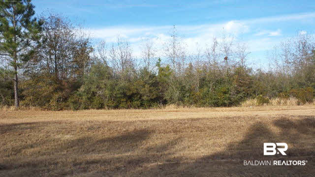17 Highway 182 Jay, FL 32565 - Photo 26 of 29