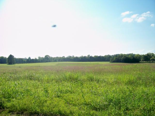 8 Mill Road Lebanon, TN 37090 - Photo 1 of 8 Gallery Image 1