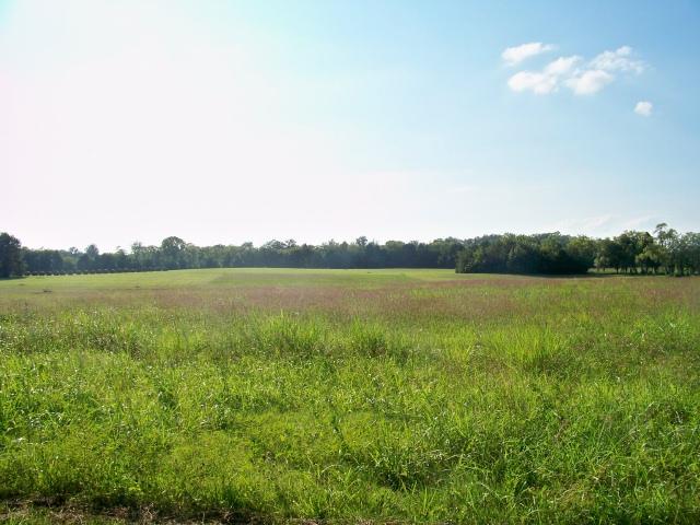 8 Mill Road Lebanon, TN 37090 - Photo 2 of 8 Gallery Image 2