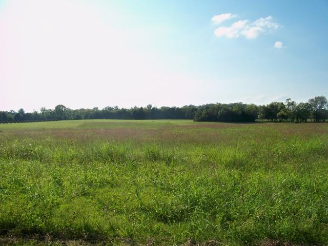 8 Mill Road Lebanon, TN 37090 - Photo 3 of 8 Gallery Image 3