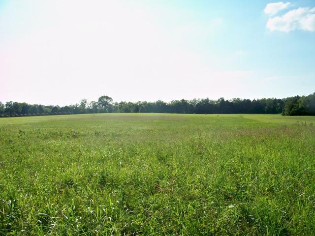 8 Mill Road Lebanon, TN 37090 - Photo 4 of 8 Gallery Image 4