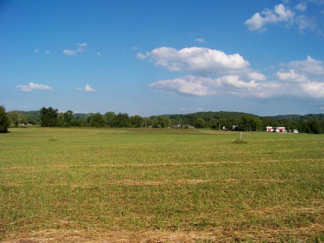 8 Mill Road Lebanon, TN 37090 - Photo 6 of 8 Gallery Image 6