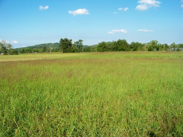 8 Mill Road Lebanon, TN 37090 - Photo 7 of 8 Gallery Image 7