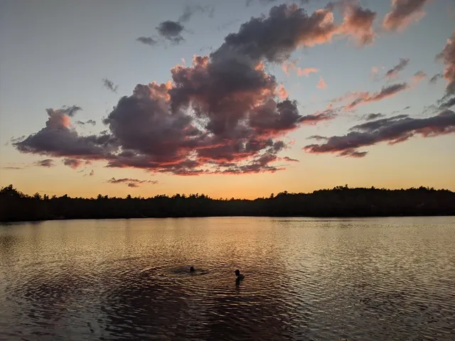 a view of city and lake