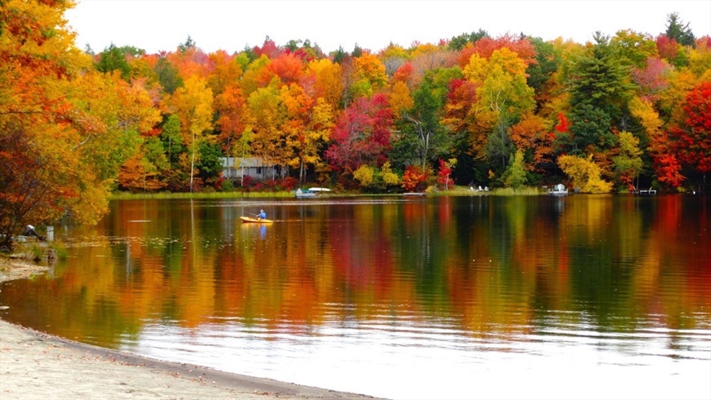 Ts12-ttr8 Ts12-ttr8 Slope Road Tolland, MA 01034 - Photo 7 of 10