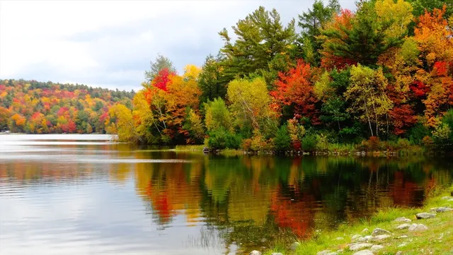 $50,000 | Ts12-ttr8 Ts12-ttr8 Slope Road, Tolland, MA 01034