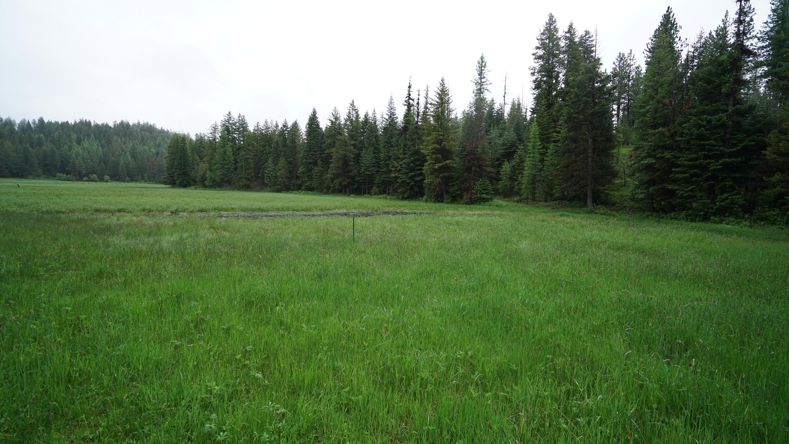 214 Forest Road Bates, OR 97817 - Photo 27 of 34 DSC02347