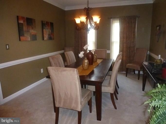 43335 Ritter Lane South Riding, VA 20152 - Photo 22 of 25 Interior (General)