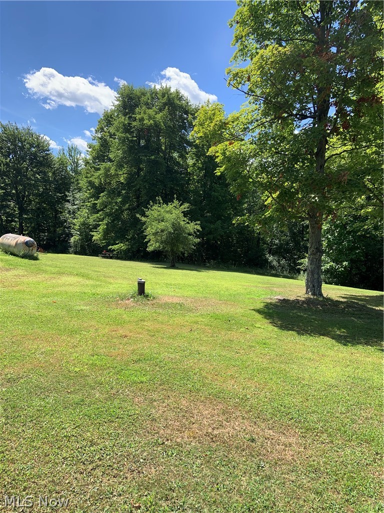 11185 Madison Road Huntsburg, OH 44046 - Photo 10 of 11 Beautiful grounds