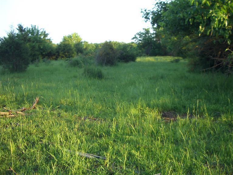 0 Southeast 900 Road Collins, MO 64738 - Photo 1 of 1 Primary Photo