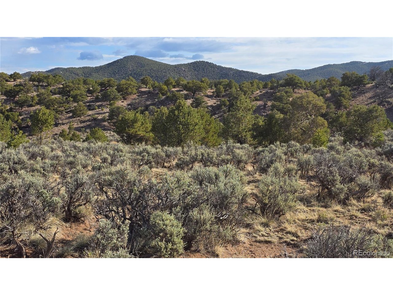7340 Sweany Road Fort Garland, CO 81133 - Photo 4 of 31