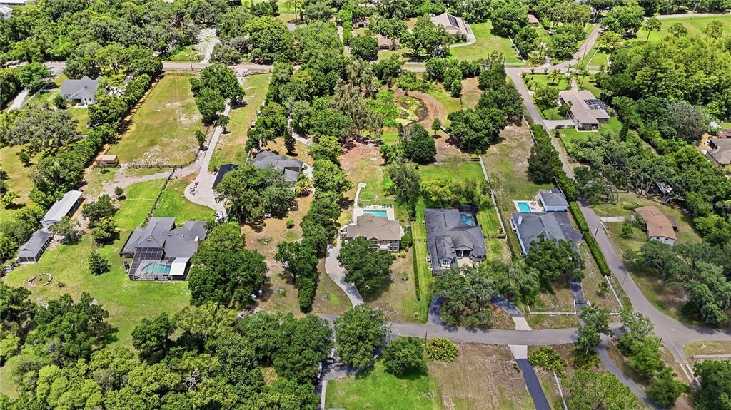 9244 Rhea Drive Odessa, FL 33556 - Photo 52 of 57
