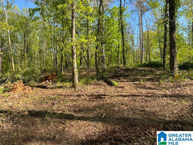 1721 Westover Road, Unit 1 Sterrett, AL 35147 - Photo 1 of 9