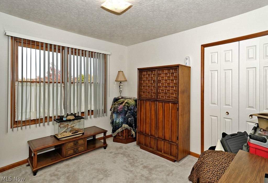 38717 Short Road Litchfield, OH 44253 - Photo 11 of 25 Gallery Image 11
