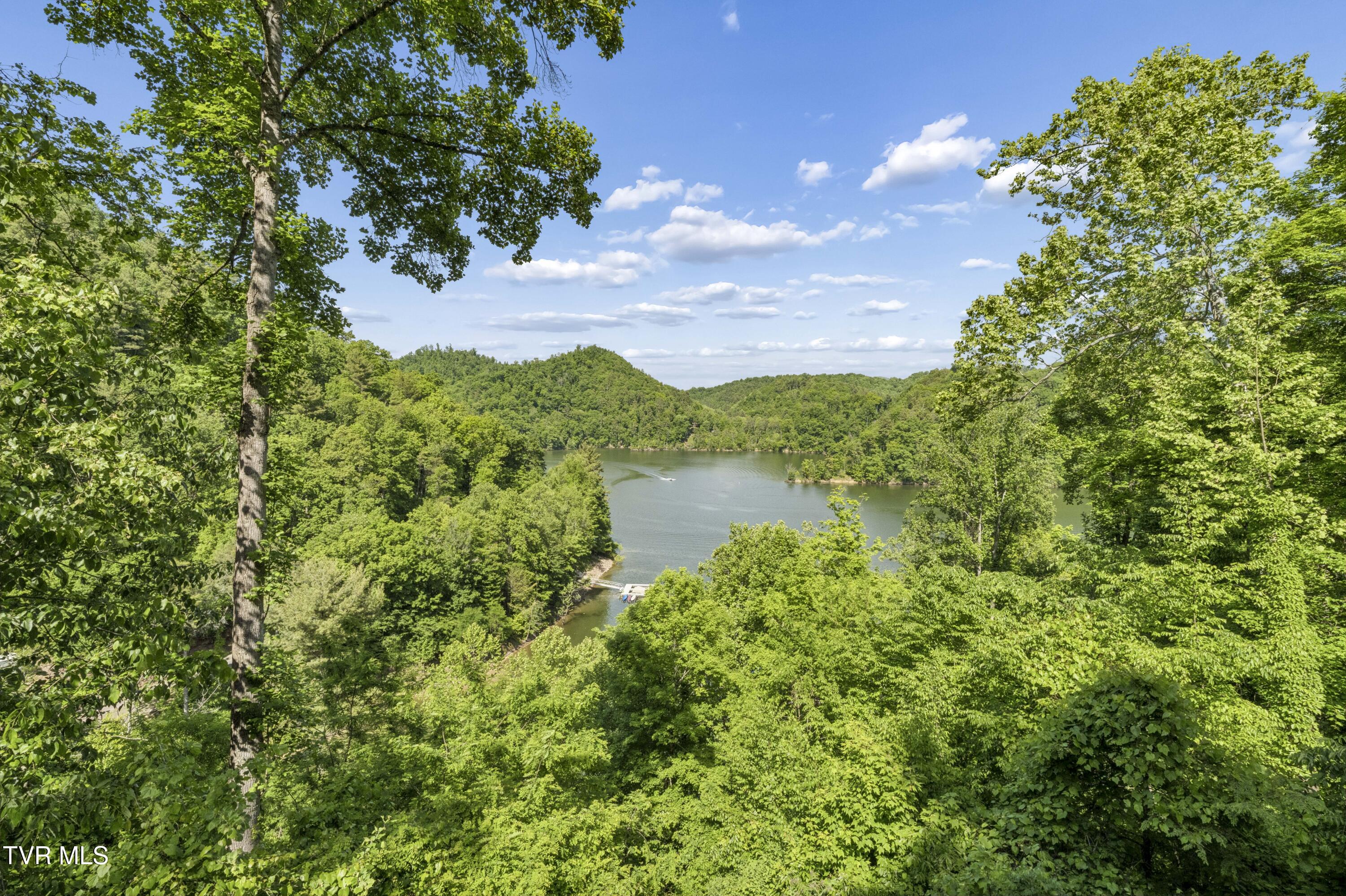 162 Cable Hollow Road Butler, TN 37640 - Photo 48 of 85 CableHollow-44