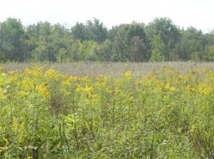 11487 Furlong Road Freeport, MI 49325 - Photo 2 of 3 20140718212623724827000000