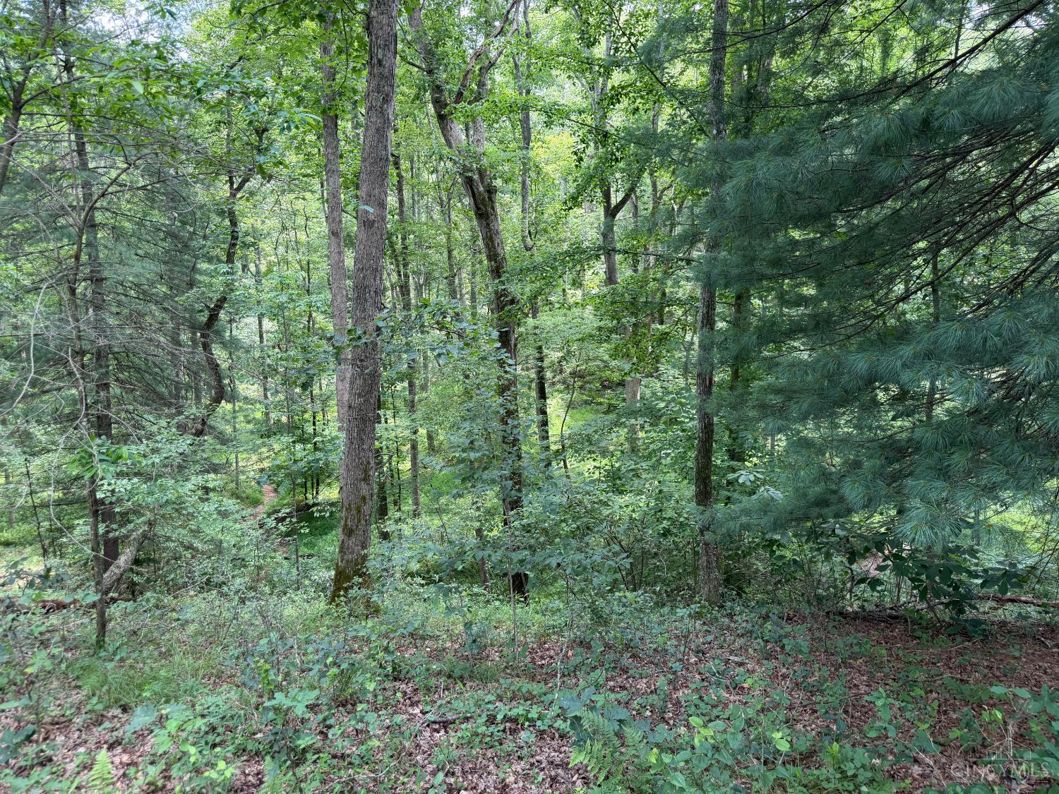 1323 Beaver Pond Road Peebles, OH 45660 - Photo 7 of 13