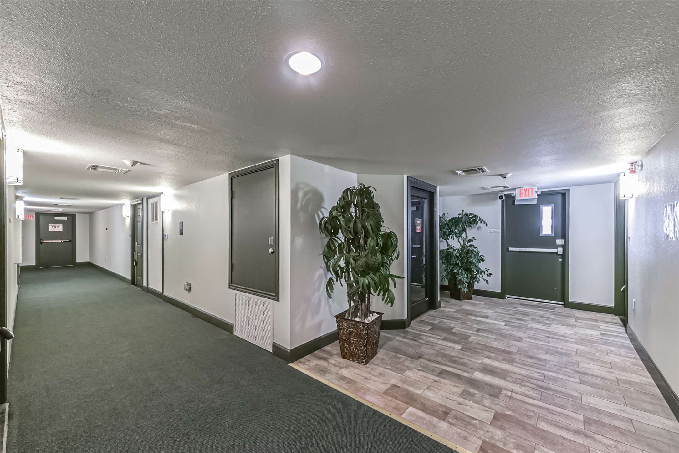 1025 Swanson Street, Unit 208 Houston, TX 77030 - Photo 7 of 19 a view of a hallway with potted plants