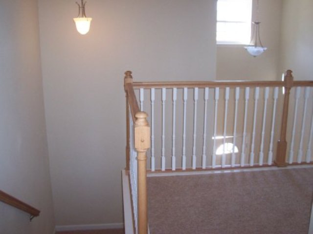 3 Tale Court Greer, SC 29650 - Photo 13 of 23 Gallery Image 13