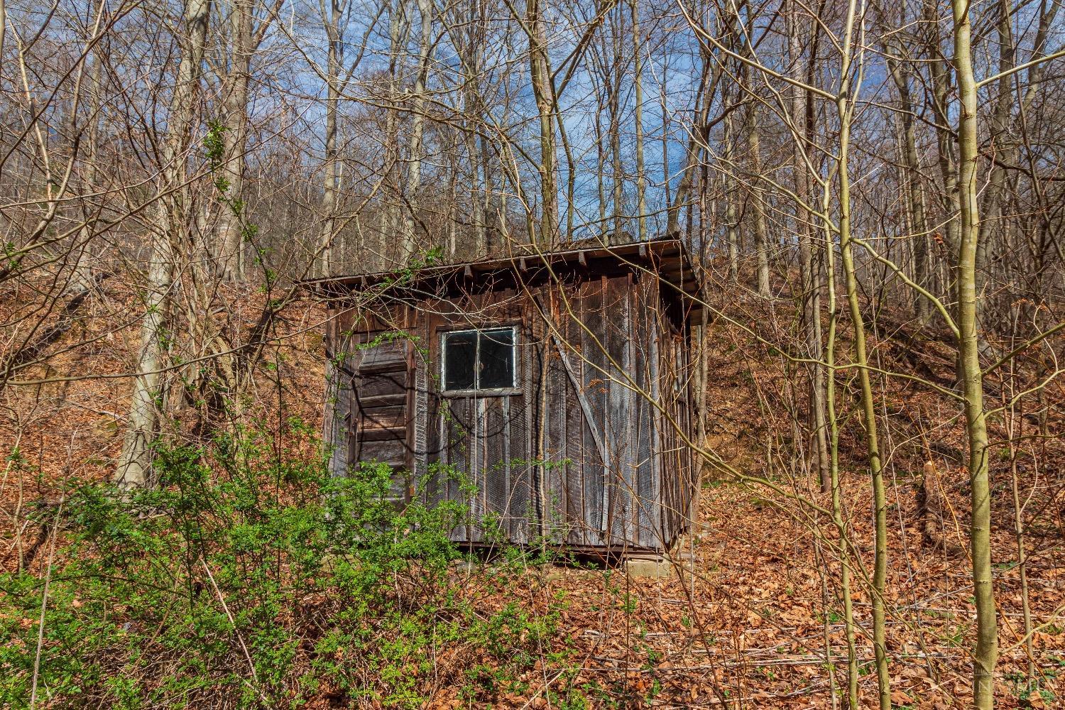 1000 Tracy Run Road Stout, OH 45684 - Photo 44 of 59 Gallery Image 44