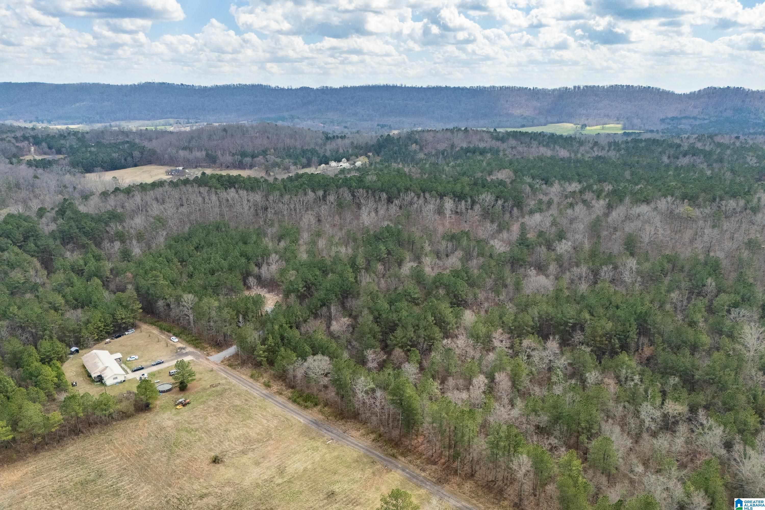 7 Fisher Phillips, Unit 7 Ashville, AL 35953 - Photo 2 of 28