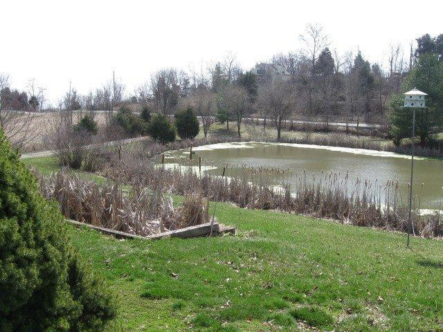 3977 Long Lick Road Stamping Ground, KY 40379 - Photo 23 of 29 Photo 24