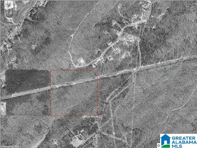 Camp Winnataska Road, Unit 13 4 Pell City, AL 35125 - Photo 3 of 3