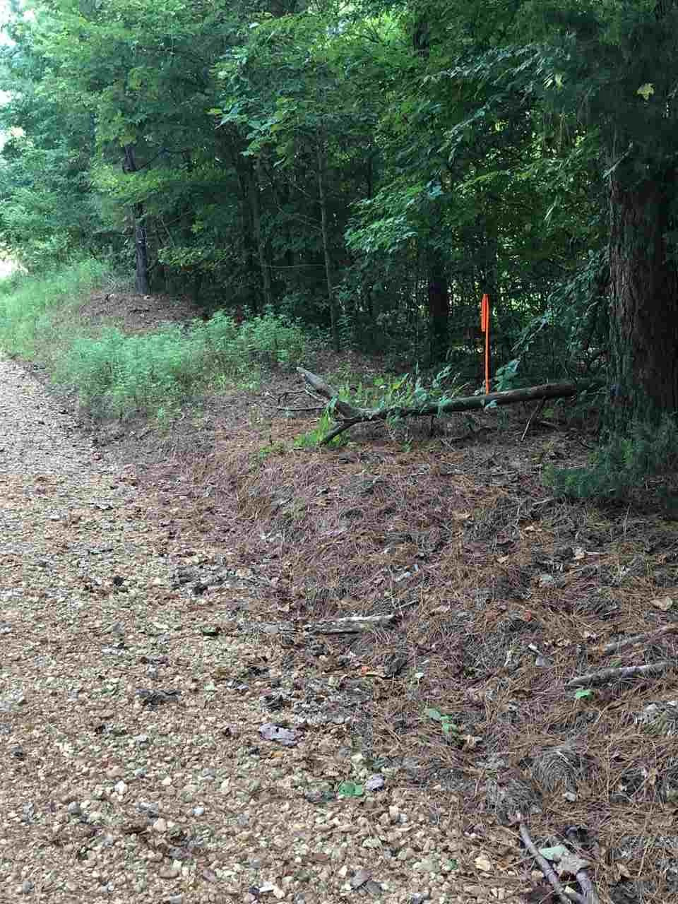 320 Beale Road Yazoo City, MS 39194 - Photo 15 of 15 Photo 16