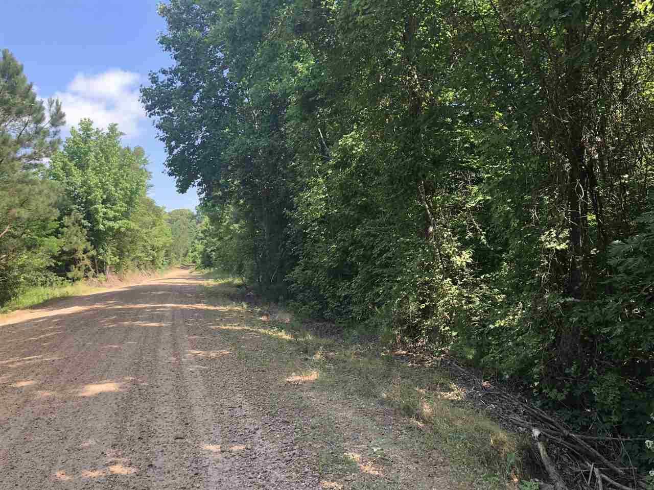 320 Beale Road Yazoo City, MS 39194 - Photo 2 of 15 Photo 2