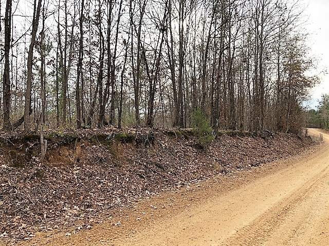 320 Beale Road Yazoo City, MS 39194 - Photo 4 of 15 Beale Road winter views